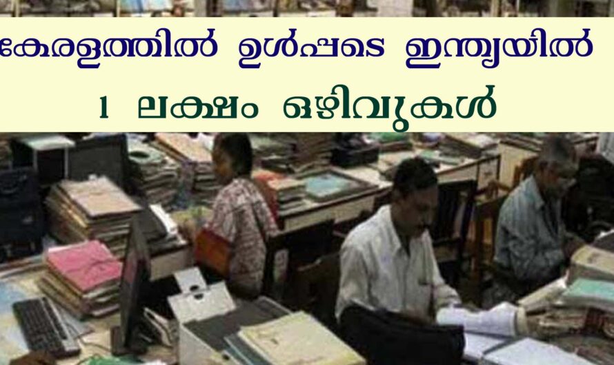 യോഗ്യതയനുസരിച്ചുള്ള ജോലി നേടാം