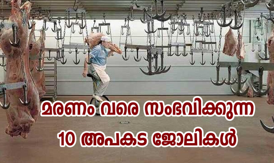 അപകടം പിടിച്ച ചില ജോലികൾ ഏതൊക്കെയെന്ന് നോക്കാം