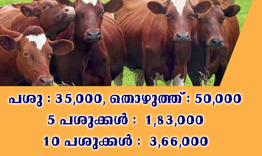 കന്നുകാലി വളർത്തലിന് കേരള സർക്കാർ ധനസഹായം