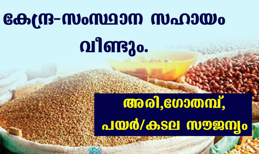 റേഷൻ സ്പെഷ്യൽ അരി വിതരണം