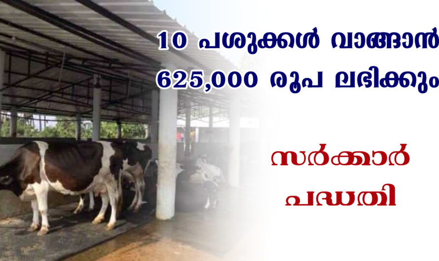 പശുവളർത്തലിന് 625000 വരെ സർക്കാർ ലോൺ