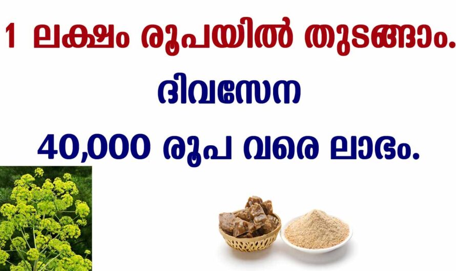 ഇപ്പോൾ ചെയ്യാവുന്ന ബിസിനസ്, വിജയിക്കുമെന്ന് ഉറപ്പാണ്.