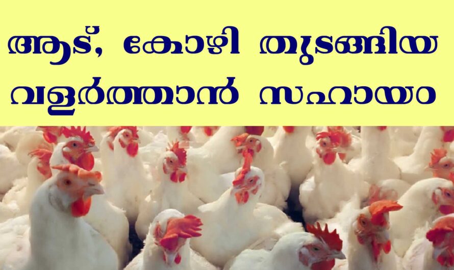 കുടുംബശ്രീ സഹായ പദ്ധതി