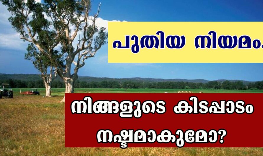 ഭൂമി കാര്‍ഡ് വരുന്നു