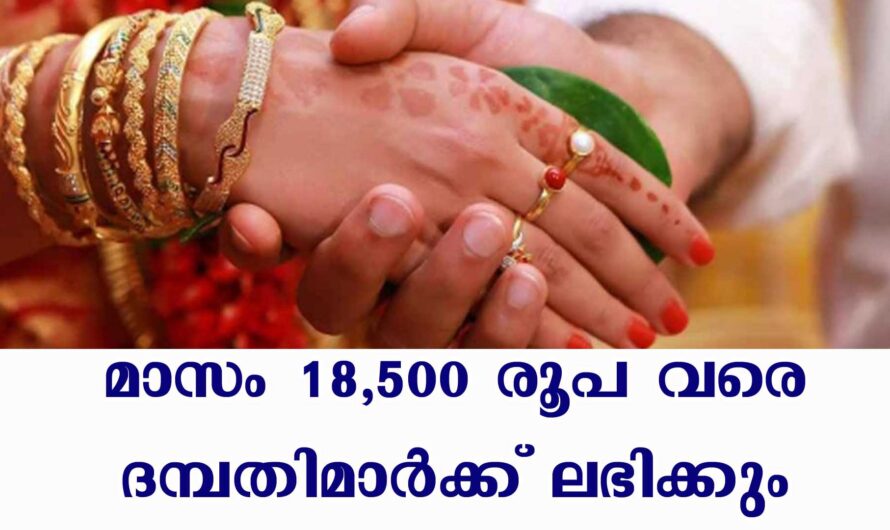 മാസം 18500 രൂപ വരെ ദമ്പതിമാർക്ക് ലഭിക്കും