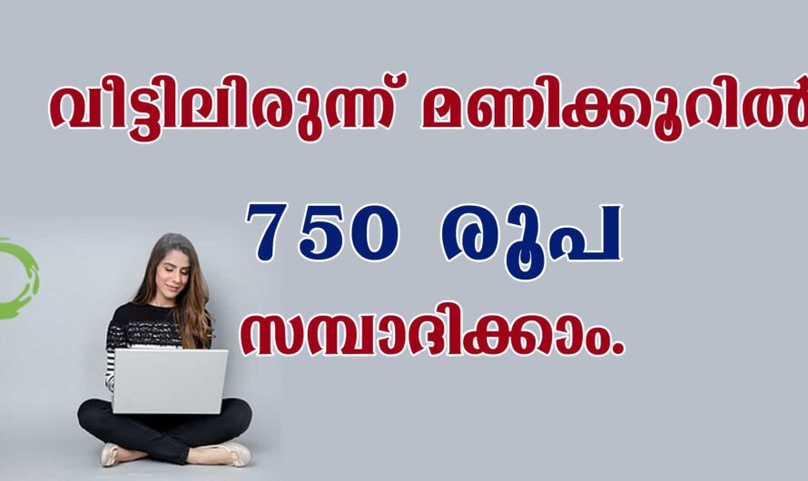 വീട്ടിൽ ഇരുന്ന് കൊണ്ട് മണിക്കൂറിൽ 750 രൂപ