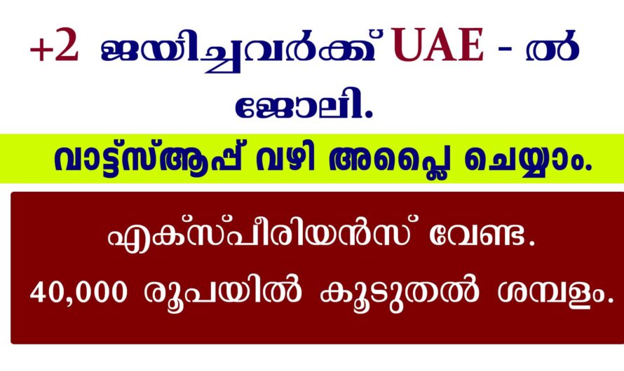 സെക്യൂരിറ്റി ഗാർഡ് ജോലി നേടാം.