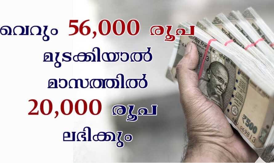 56000/- മുടക്കിയാൽ മാസത്തിൽ 20000/-രൂപ