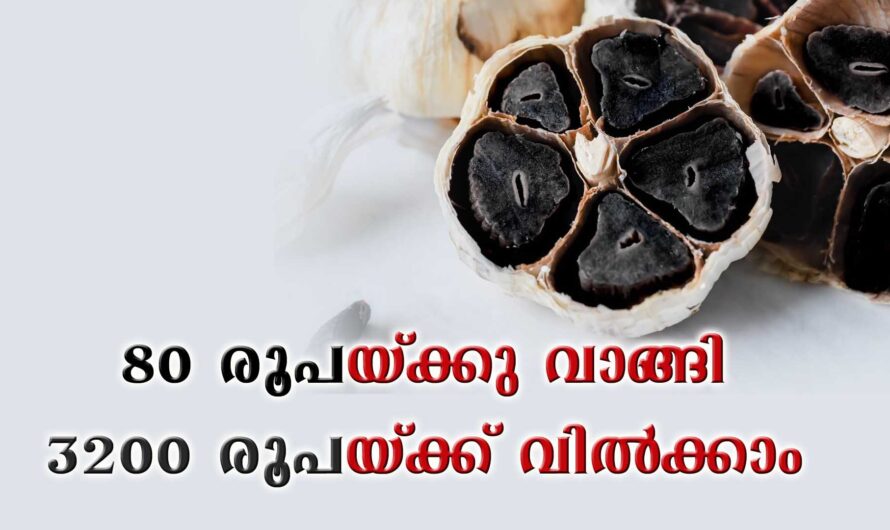 80 രൂപയ്ക്കു വാങ്ങി 3200 രൂപയ്ക്ക് വിൽക്കാം