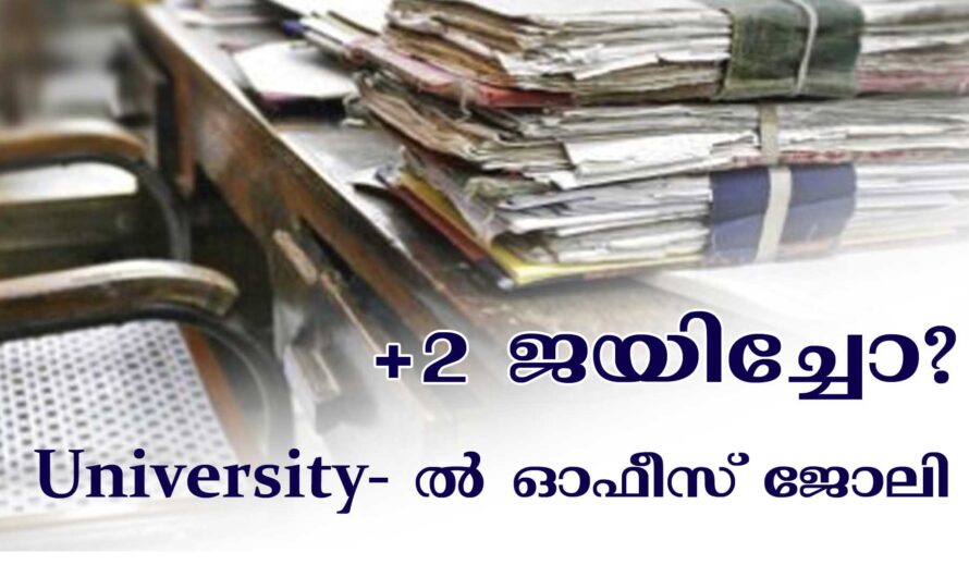+2 പാസായവർക്ക് യൂണിവേഴ്സിറ്റിയിൽ ജോലി