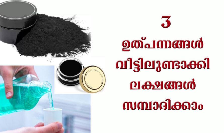 3 ഉത്പന്നങ്ങൾ വീട്ടിലുണ്ടാക്കി ലക്ഷങ്ങൾ സമ്പാദിക്കാം