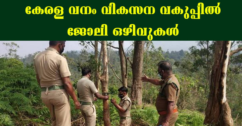 Apply online for Apply For KFDC Recruitment