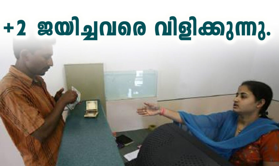 NIEPA Recruitment – Here is Official Notification