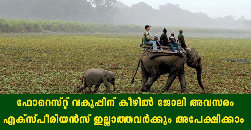 Wildlife Institute of India Recruitment 2021