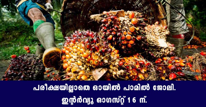 Oil Palm India Limited walk in interview