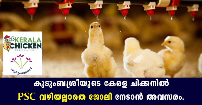 Jobs At Kudumbashree Broiler Farmers Producers Company Limited