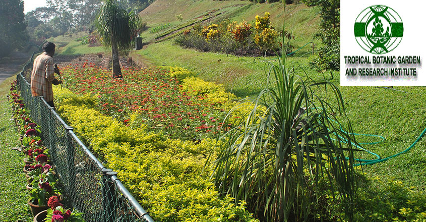 JNTBGRI Recruitment 2021 – Walk in interview