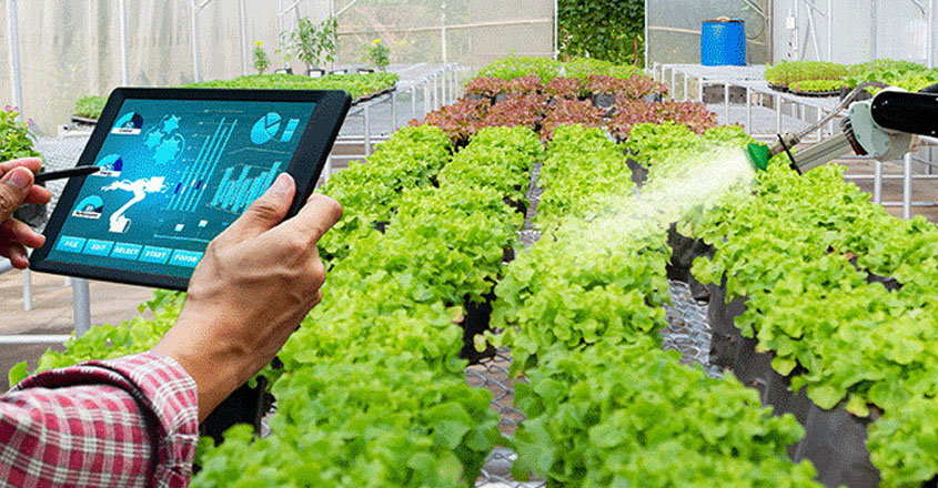 ICAR- Indian Agricultural Research Institute recruitment