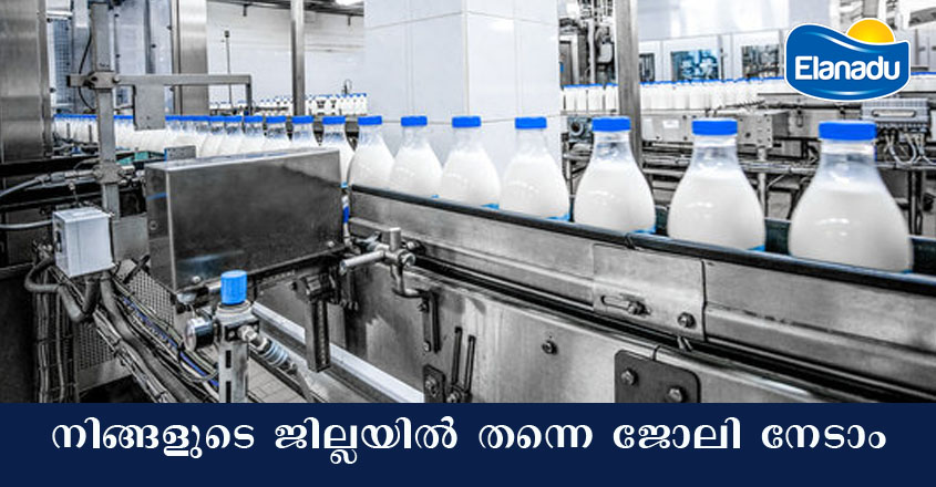 Elanadu job openings- Send resume