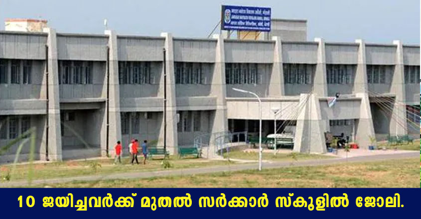 Navodaya Vidyalaya Samiti recruitment 2022- Apply Online