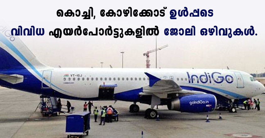 IndiGo Job openings – Apply online