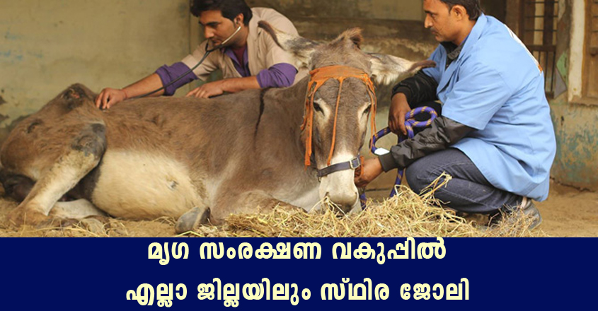 Job at Kerala Animal Husbandry Department