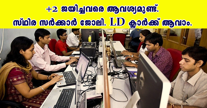 LD clerk recruitment – Application form