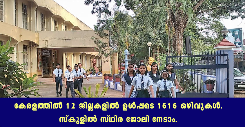 Various job openings in Navodaya Vidyalaya Samiti