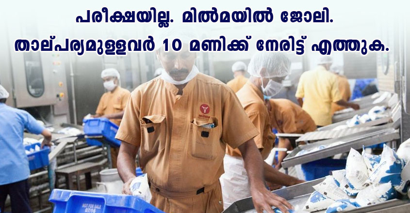 Milma Job vacancy – Walk in interview