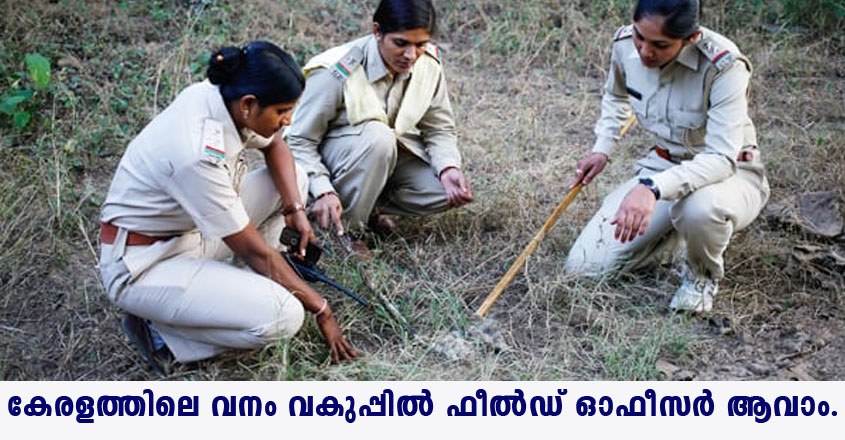 Field Officer in Kerala Forest Development Corporation Limited.